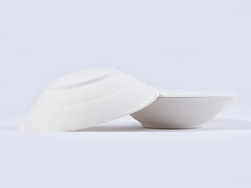 Eco Biodegradable Compostable Disposable Paper Plates For Lunch