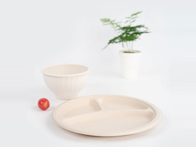 Disposable Biodegradable Compostable Desinger Wholesale Paper Plates Price