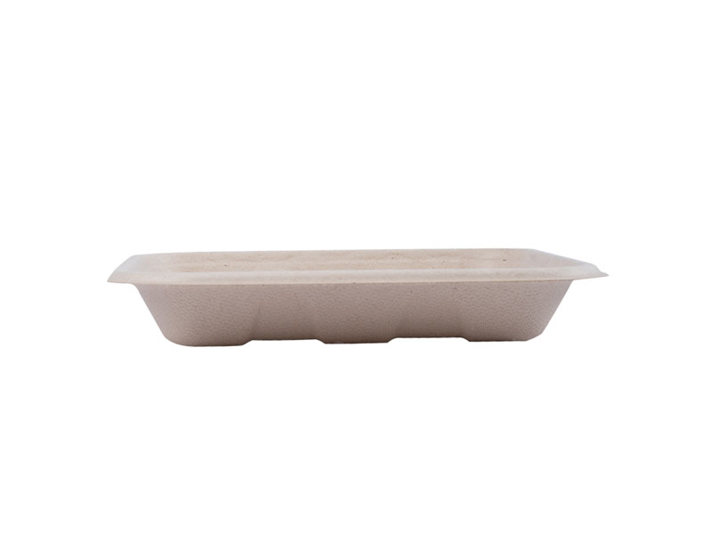 Eco Biodegradable Compostable Disposable Sustainable Rectangular Paper Pulp Plates