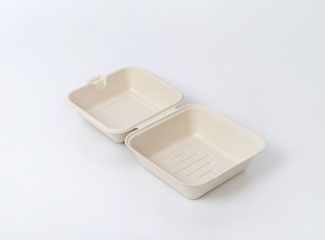 Disposable Restaurant Food Take Out Box Wholesale