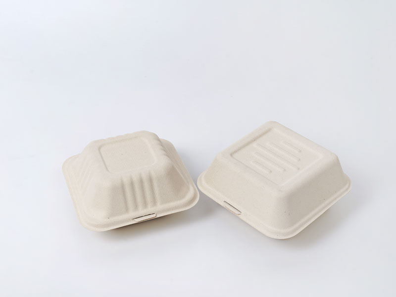 https://www.zhibeneco.com/uploads/image/20210915/11/eco-friendly-disposable-paper-pulp-clamshell-containers-1.jpg